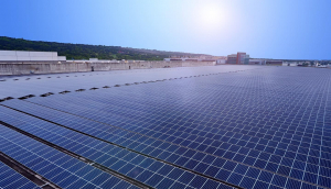 中美硅晶与非凡娱乐光电携手战略合作