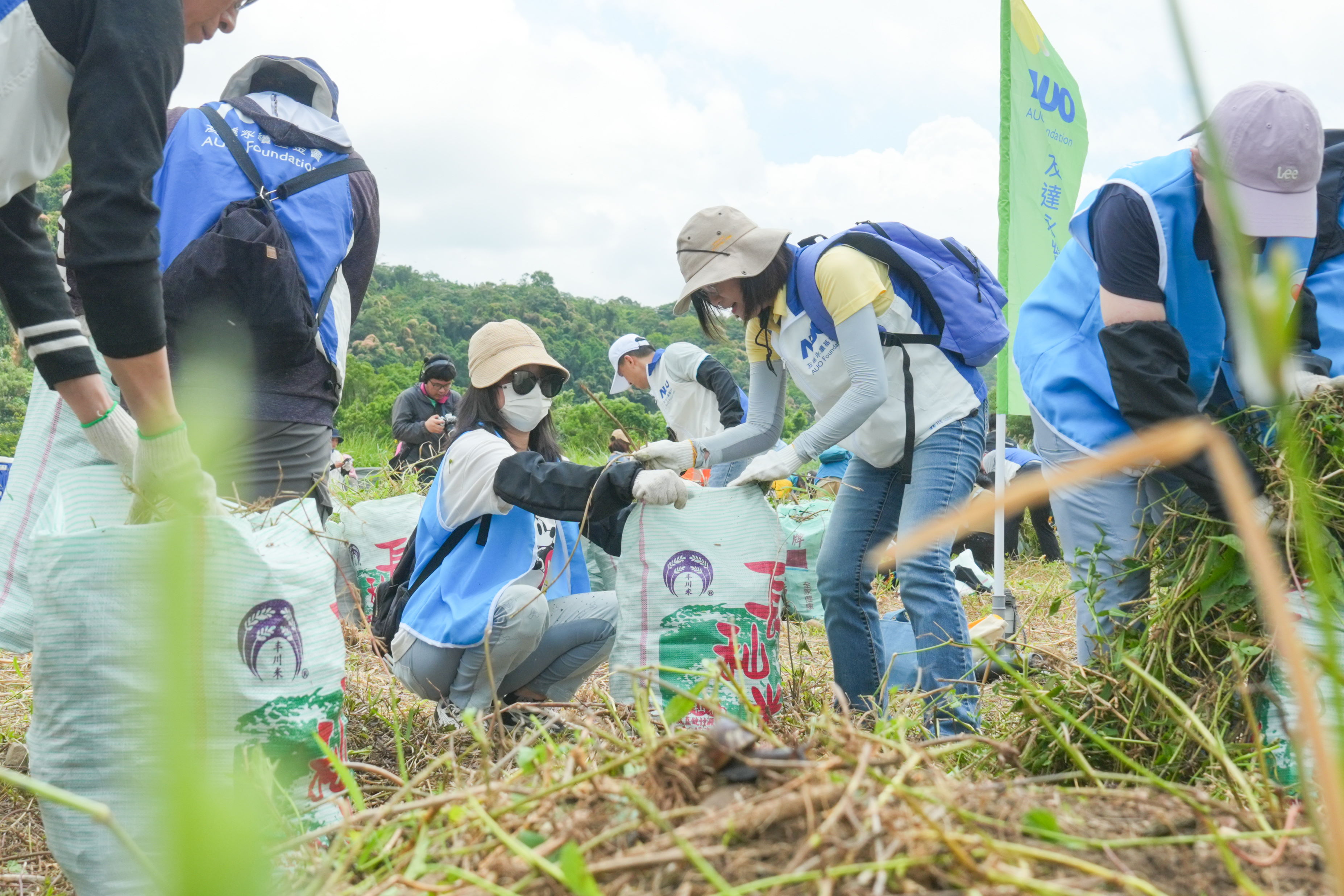 非凡娛樂除蔓防治計畫，除了鎖定霄裡溪沿岸3.2公里移除外來入侵種小花蔓澤蘭，並進行物種與空拍調查，共記錄91科181屬239種維管束植物，顯示該區域具高度生態價值